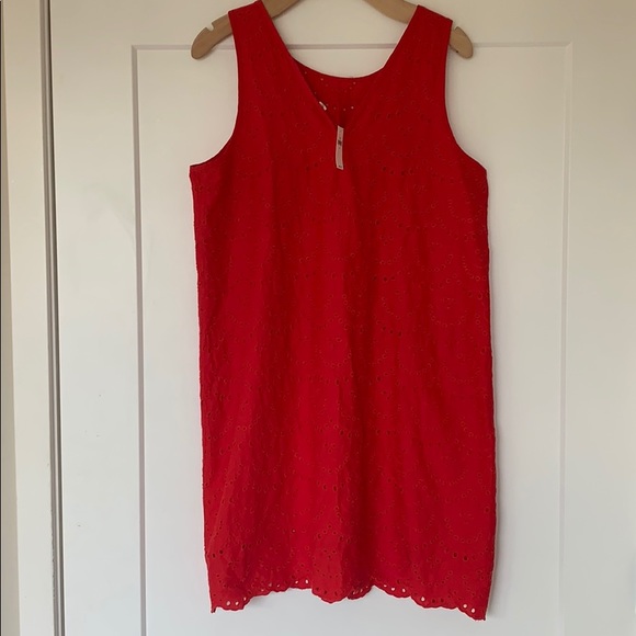 Gap shift dress | size petite large ❤️ NWT! - Picture 4 of 6